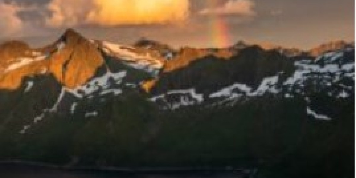 SimsDataInfo: Enabling Custom Content Producers and Modders in the Sims Community