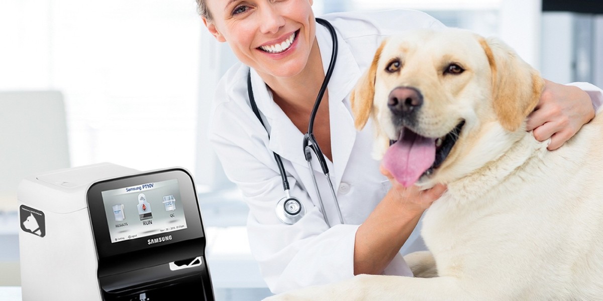 United States Veterinary Point of Care Diagnostics Market: Improving Animal Health Outcomes with Advanced Diagnostics