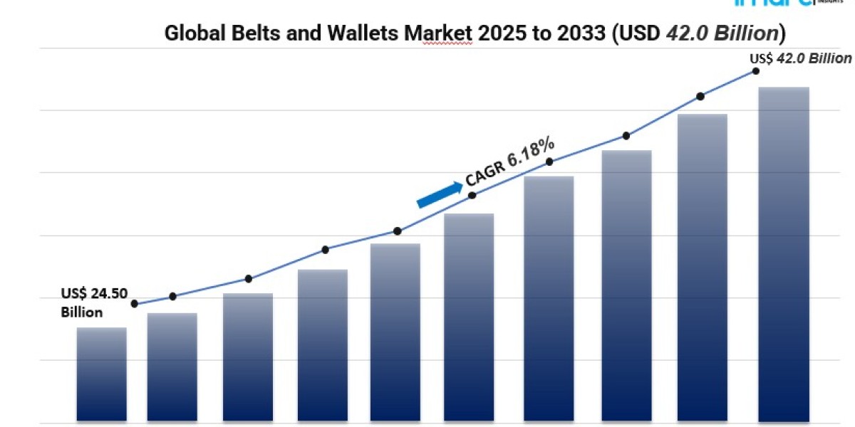 Global Belts and Wallets Market Report: Trends, Growth Drivers, and Forecast (2025–2033)