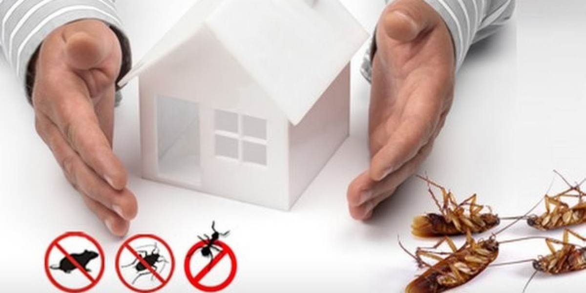 Effective Termite Treatment Options to Protect Your Property from Damage
