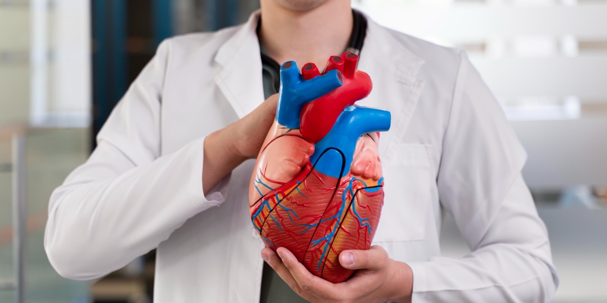 Germany Mitral Valve Disease Market: A Booming Opportunity for Medical Device Companies