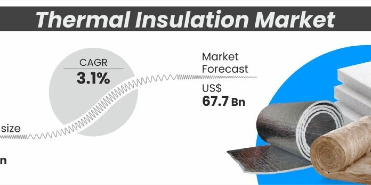 Global Thermal Insulation Market Outlook: Trends and Growth Drivers for 2025 and Beyond