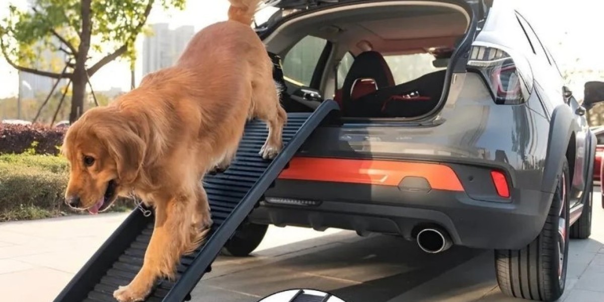 Portable Ramp for Dogs That’s Changing Pet Travel Forever