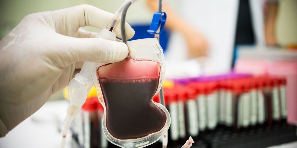 Cord Blood Product Market: Emerging Trends and Key Growth Drivers in the Global and Indian Healthcare Sectors