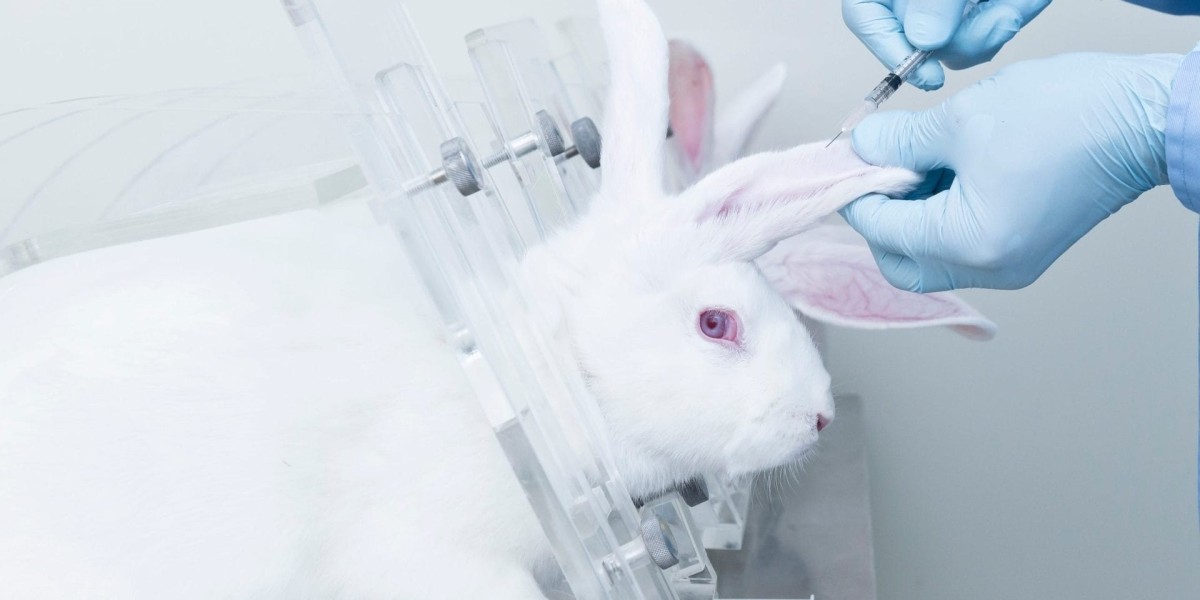 Animal Parasiticides Market Scenario Influenced by Rising Flea, Tick, and Worm Infestations in Domestic Animals