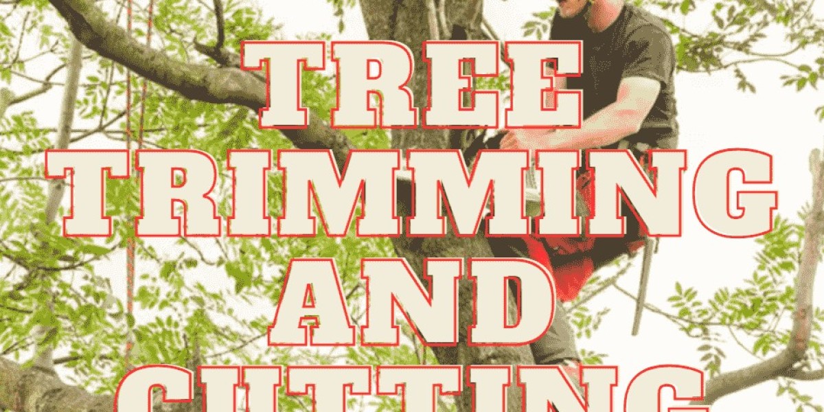 Elevating Tree Care: Audubon Tree Care's Professional Services