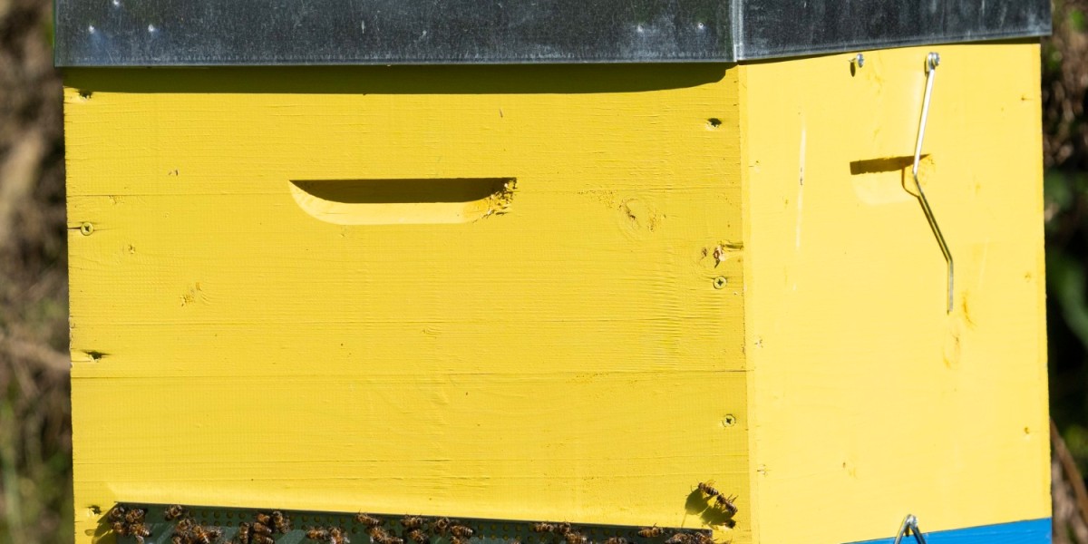 How IoT Beehive Monitoring Systems Are Revolutionizing Modern Beekeeping