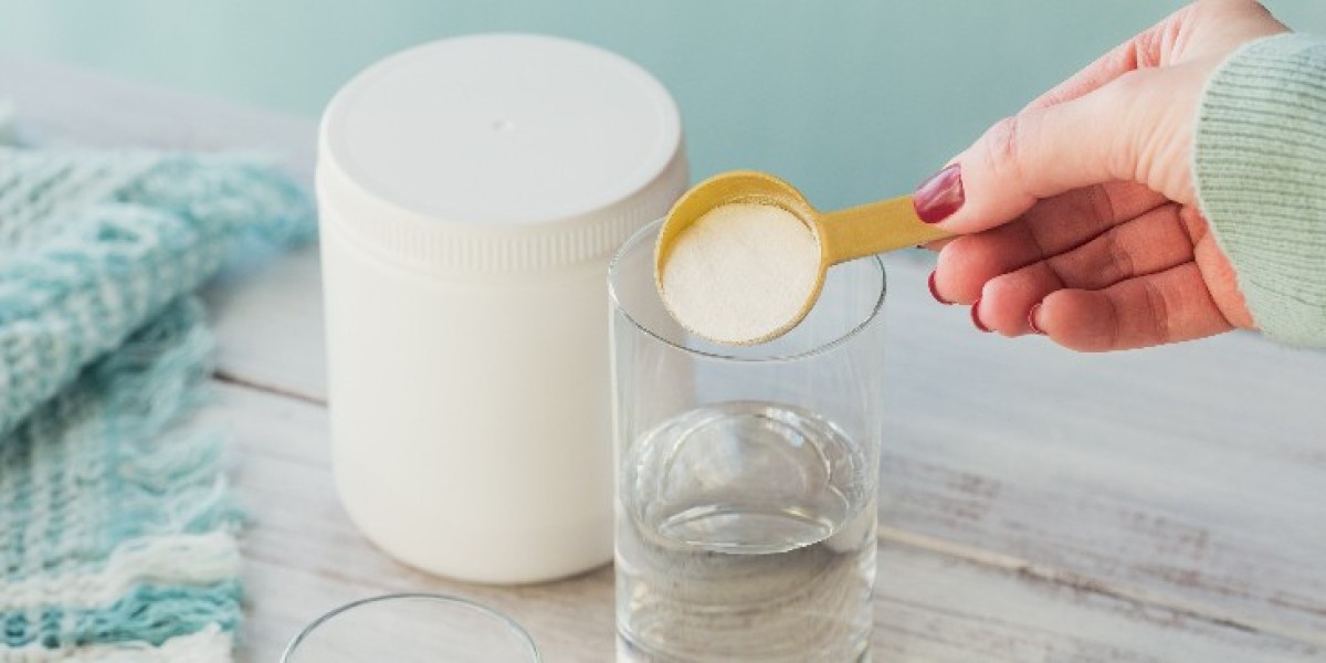 Plant-Based Collagen Market Intelligence: Leveraging Insights for Competitive Advantage
