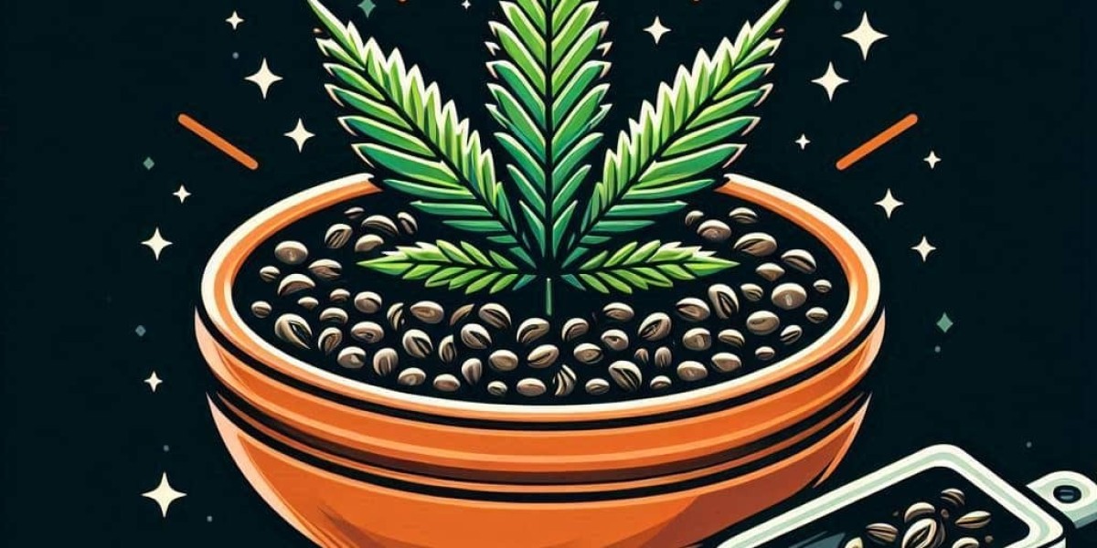 Top Tips for Growing Jack Herer Pot Seeds for the Best Yield
