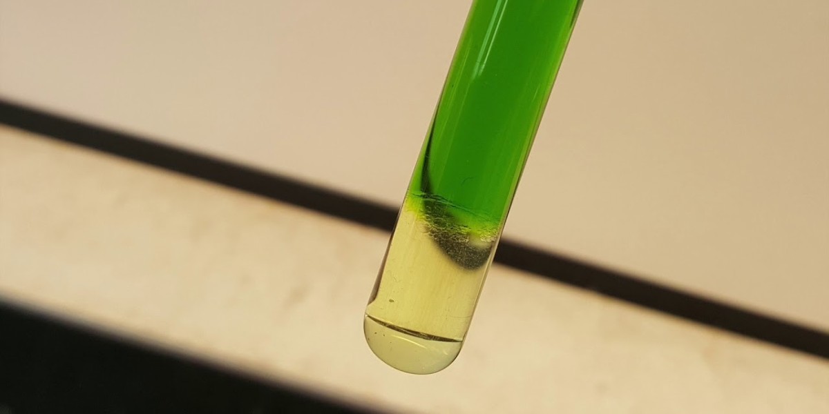 Carotenoids Pigment Market: Unveiling Growth Opportunities and Potential Across Diverse Key Industries