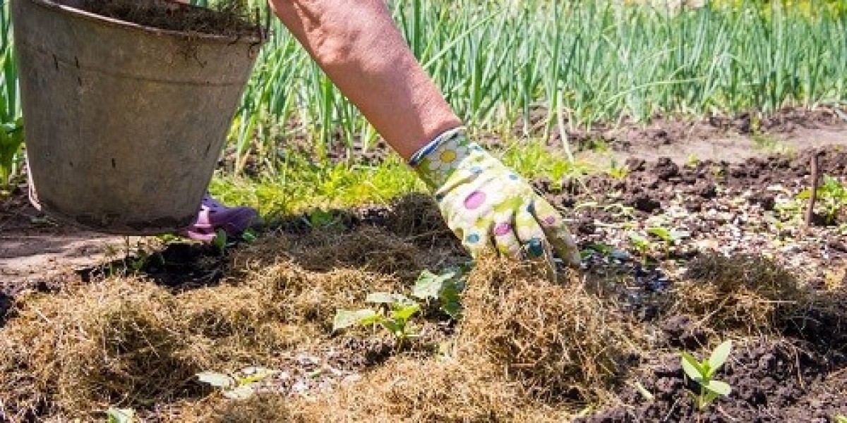 Lawn Mowing Service Pflugerville: Transform Your Yard Today!