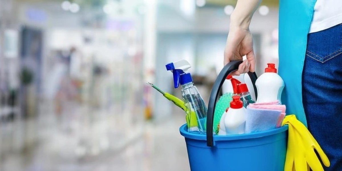 Global Multi-Purpose Cleaner Market Insights: Regional Dynamics and Consumer Trends