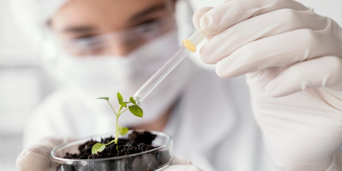 Biomaterials Market Analysis: Key Players, Trends, and Opportunities