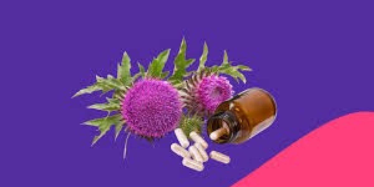 Milk Thistle Supplements Market Innovation: Addressing Regulatory Challenges and Ensuring Product Quality