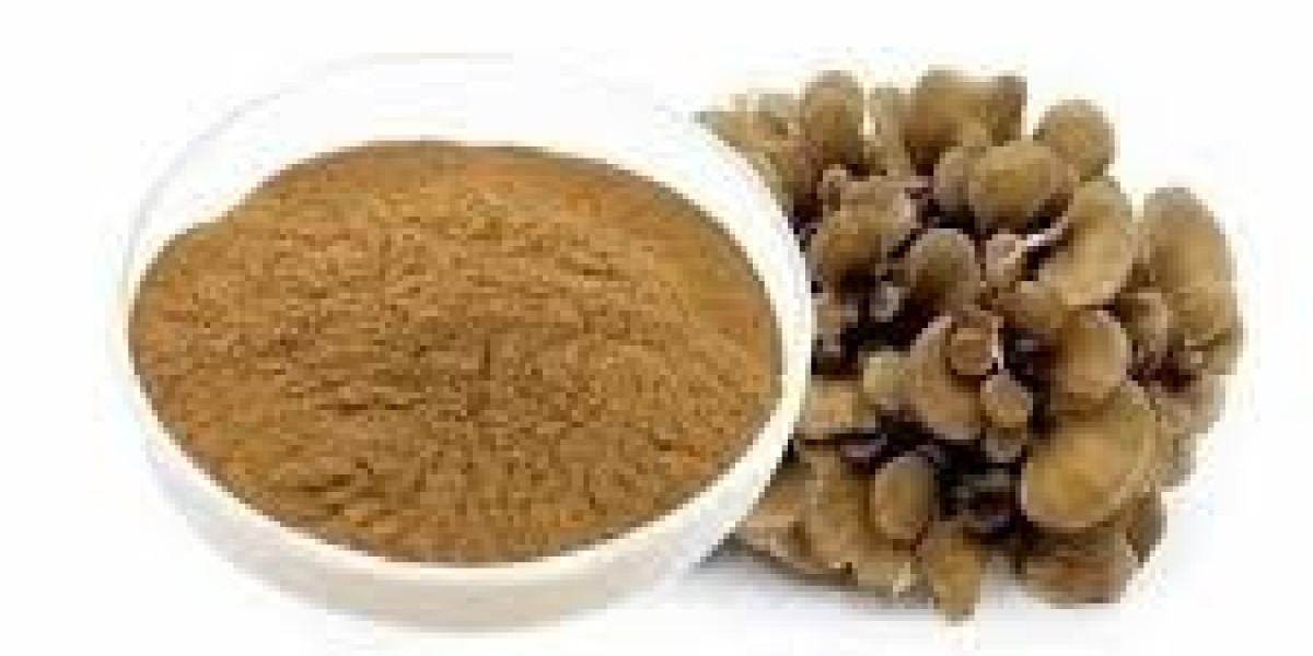 Mushroom Extract Market Dynamics Shift with Rising Awareness of Cordyceps and Reishi Benefits