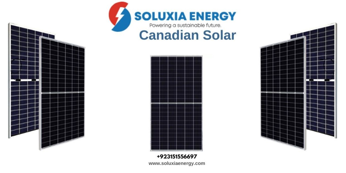 How Canadian Solar Panels Are Revolutionizing Energy Use in Pakistan