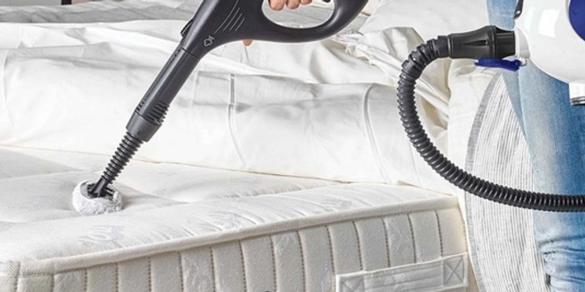 Effective Bed Bug Removal Services You Can Trust