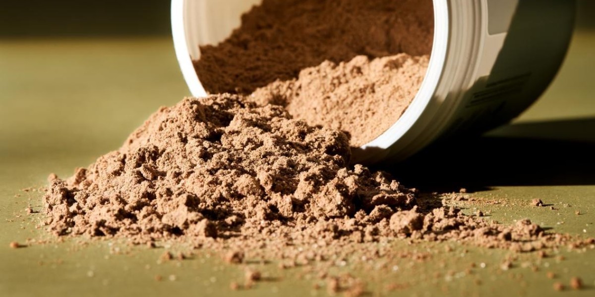 Vegan Protein Powder Market: Current Scenario and Outlook