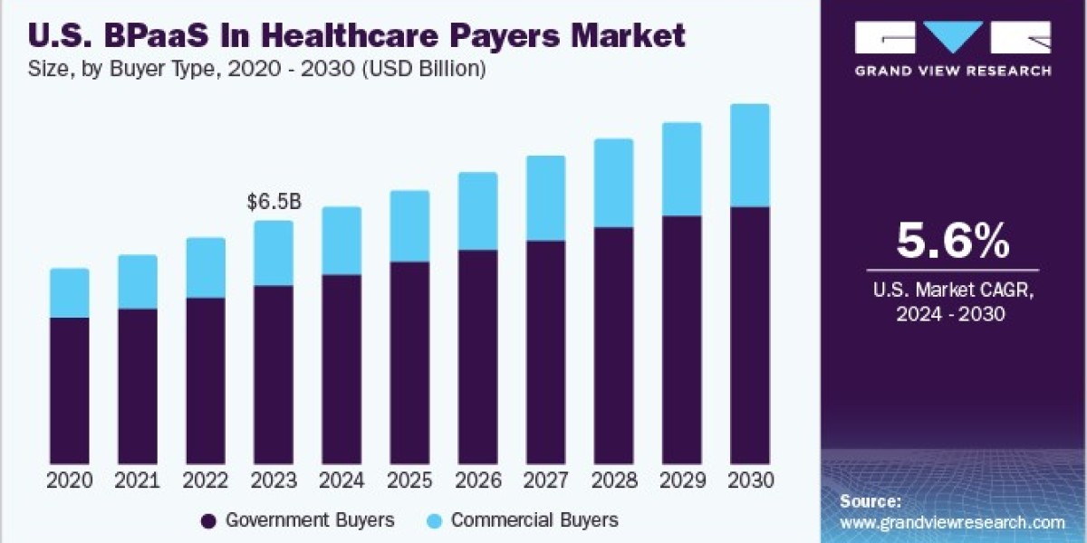 U.S. Business Process As A Service In Healthcare Payers Market Bolstered by Innovation