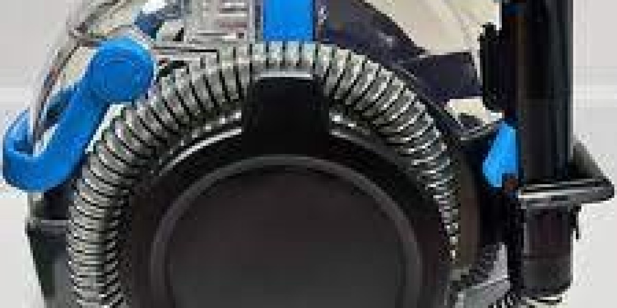 Portable Spot Cleaners Market Consumer Behavior Analysis and Preferences for Eco-Friendly Solutions