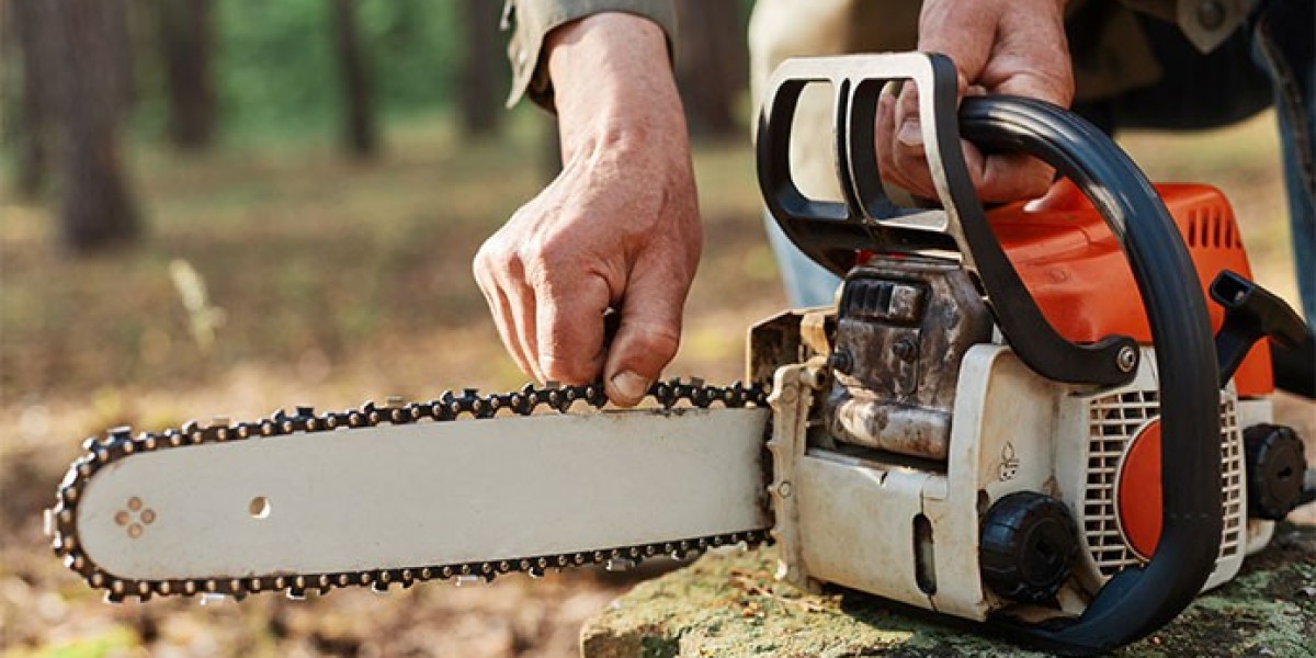 Chainsaw Market Size: Trends, Top Models & Buyer’s Guide