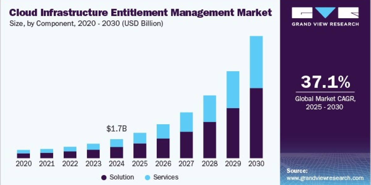 Cloud Infrastructure Entitlement Management Market 2030: Bridging the Gap in Multi-Cloud IAM Challenges