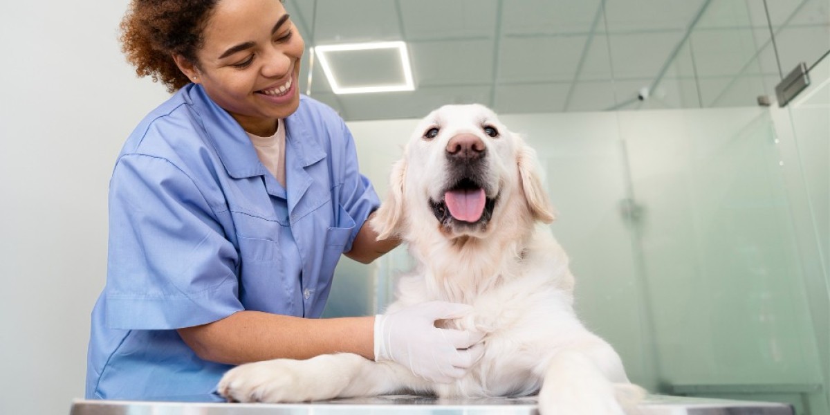 The Growing Trend of Pet Grooming in Qatar