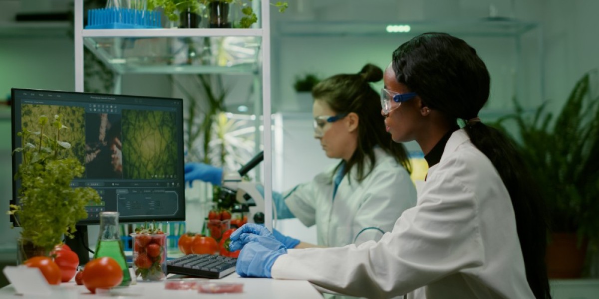 How the Bioinformatics Services Market is Transforming Healthcare & Research