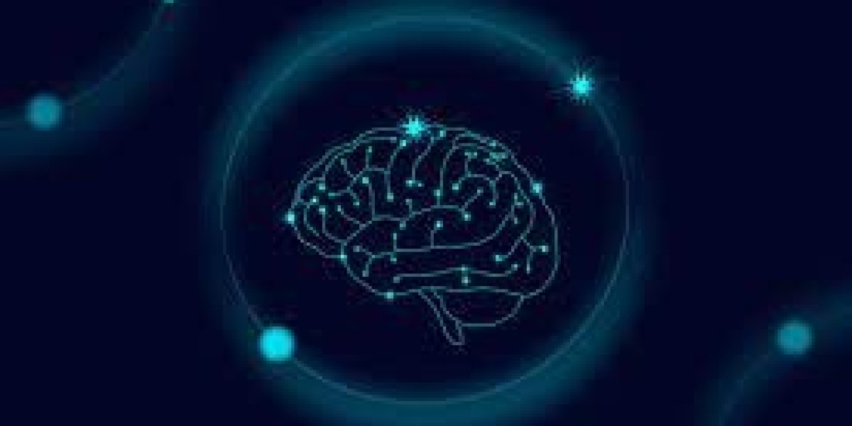 Smart Supplements on the Rise: Inside the U.S. Nootropics Market Growth Forecast