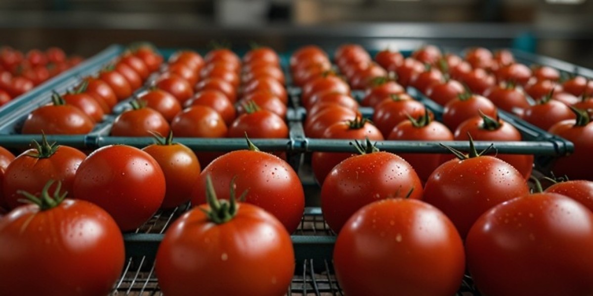 Tomato Processing Plant Project Report 2025: Business Plan, Capital Investments and Expenses