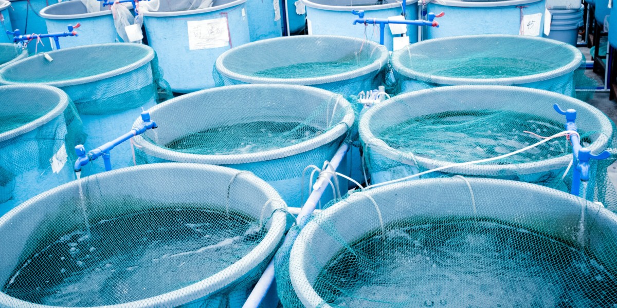 Aquaculture Market Scenario: Trends, Challenges, Innovations, and Future Growth Opportunities Worldwide