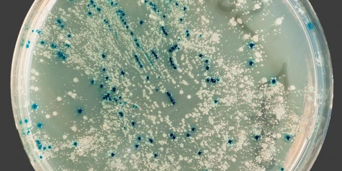 China’s Bacterial Cell Culture Market: A Strategic Look at Innovation and Investment