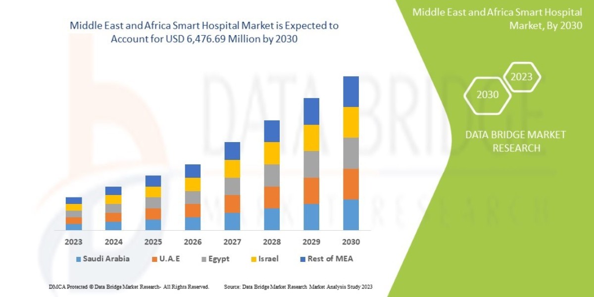 Middle East and Africa Smart Hospital Market Challenges: Growth, Share, Value, Size, and Insights