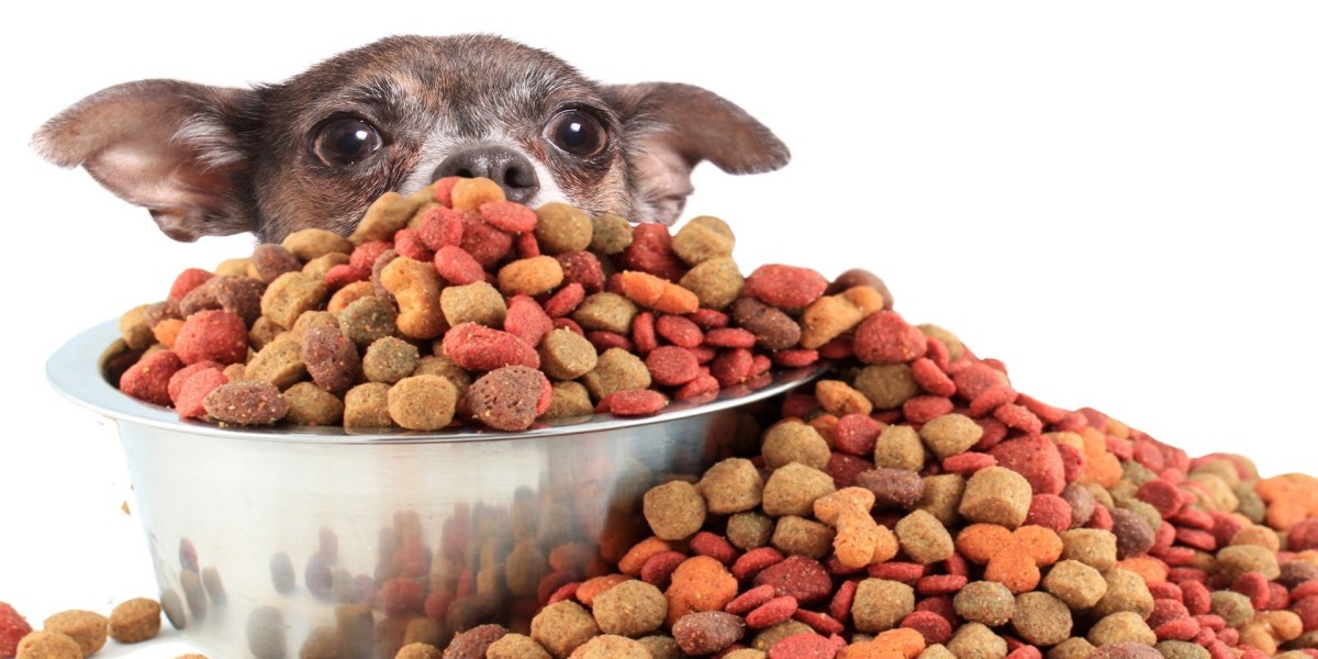 Spain’s Pet Food Market: Where Demand Meets Innovation