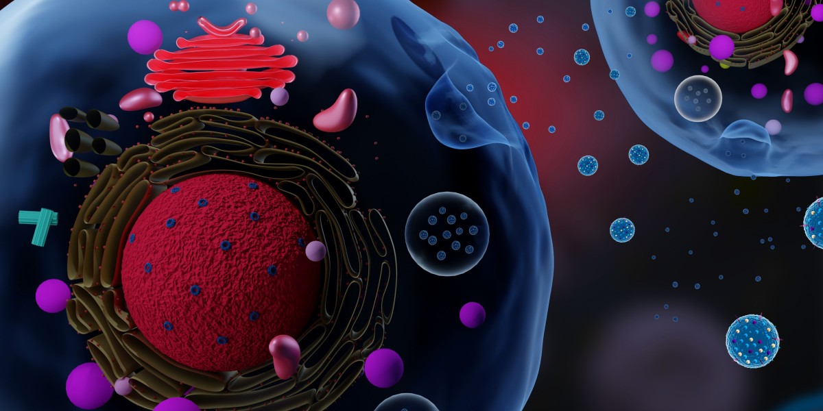 How ChiRP and ChiRP-MS Illuminate RNA-Chromatin Dynamics