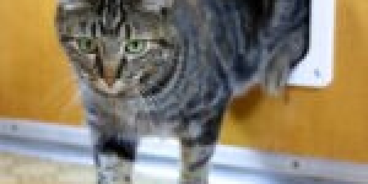 11 "Faux Pas" That Are Actually OK To Make With Your Cat Door Placement