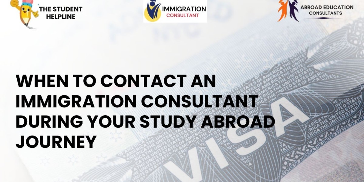 When to Contact an Immigration Consultant During Your Study Abroad Journey