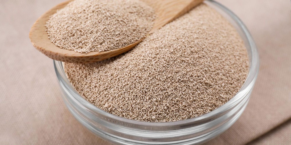 Dry Yeast Market Driven by Growing Demand in Processed Foods