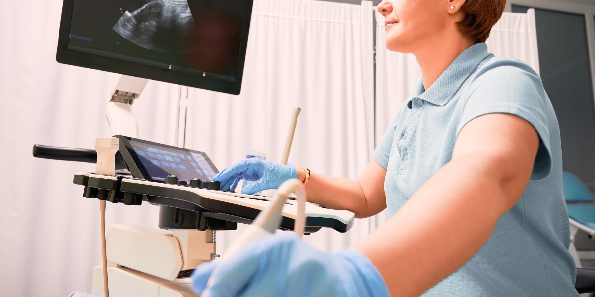 Portable Ultrasound Bladder Scanner Market Challenges Hindering Expansion in Developing Healthcare Systems