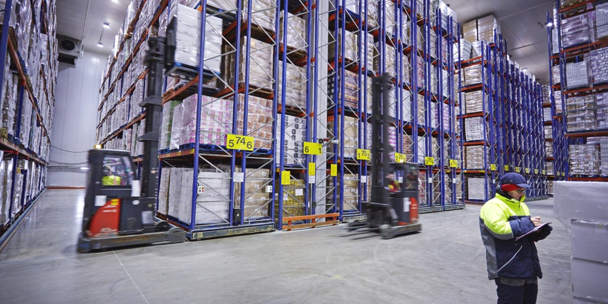 Cold Chain Logistics Market Trends Highlight Increasing Need for Advanced Cold Storage and Transport Solutions