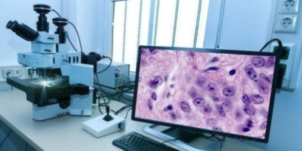 Global Computational Pathology Market: Innovations Transforming Disease Detection