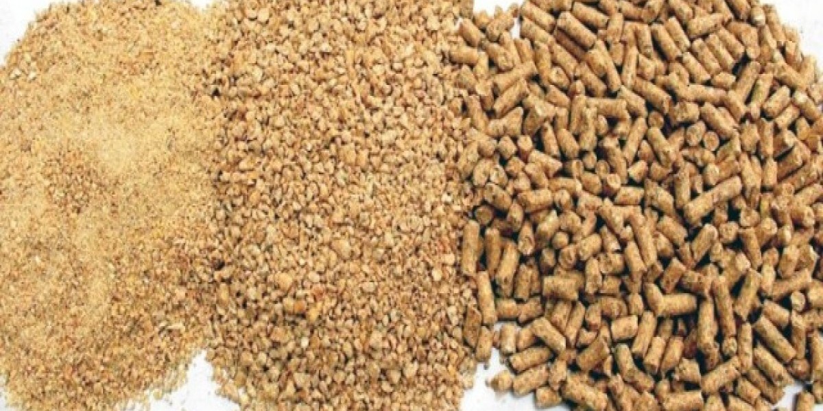 Animal Feed Additives Market Landscape: Investment in Research Accelerates Functional Additive Development for Livestock