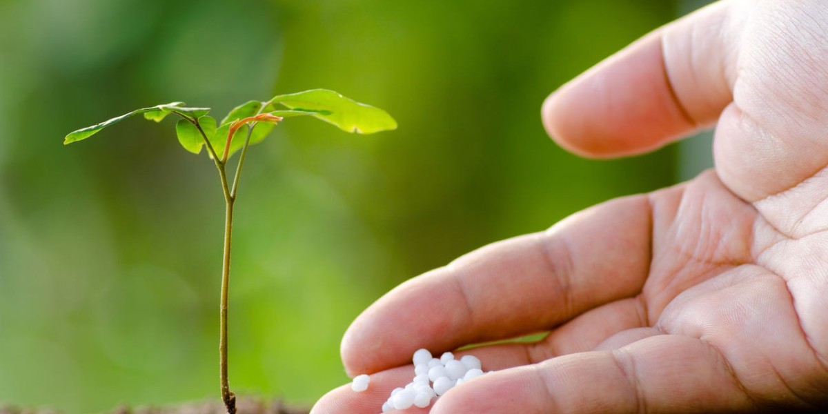 Biofertilizers Market Dynamics Driving Sustainable Agriculture, Regional Expansion, and Technological Advancements Globa