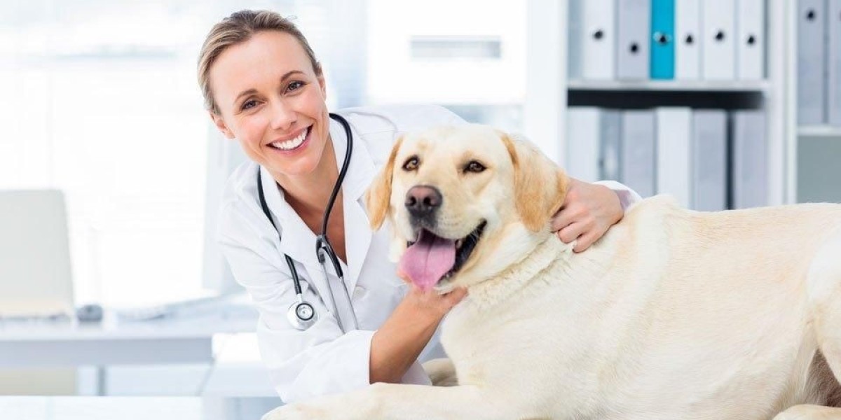 United Kingdom Veterinary Healthcare Market: A Marketer’s Guide to Tapping into Pet Care Demand