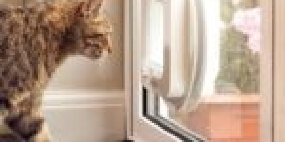 Five Cat Flap Specialist Lessons From The Professionals
