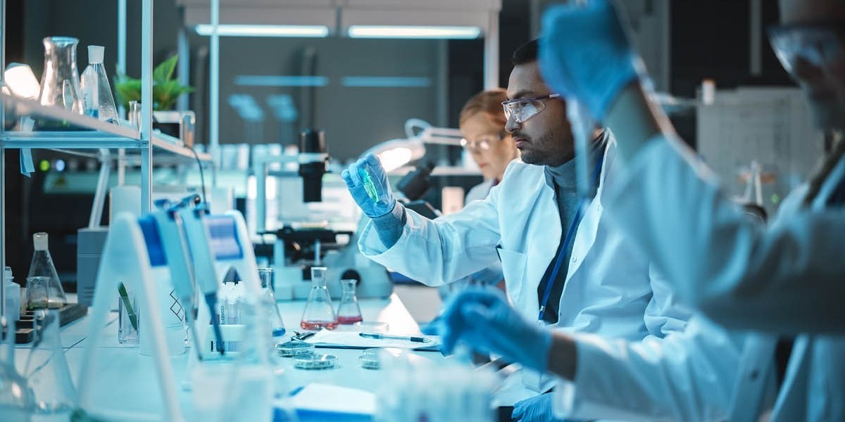 United States Bioanalytical Testing Market: Opportunities, Challenges, and Forecast 2033