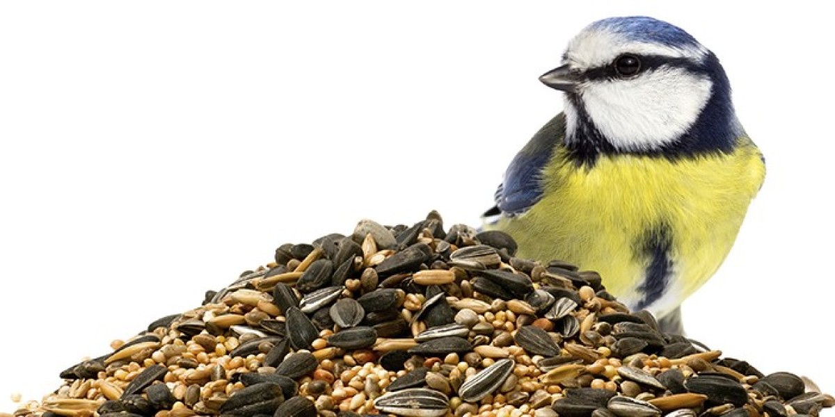 Bird Food Market Strategic Moves Shaping Competitive Growth, Innovation, and Regional Expansion Globally