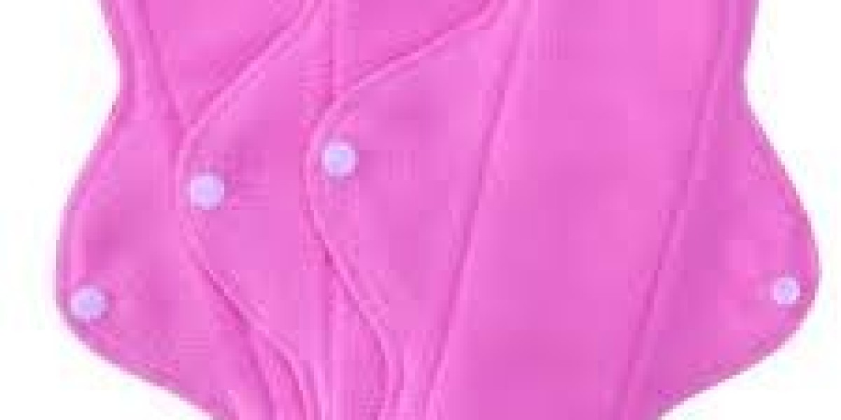 Reusable Sanitary Pads Market Forecast Through 2030 with Technological Advancements Included