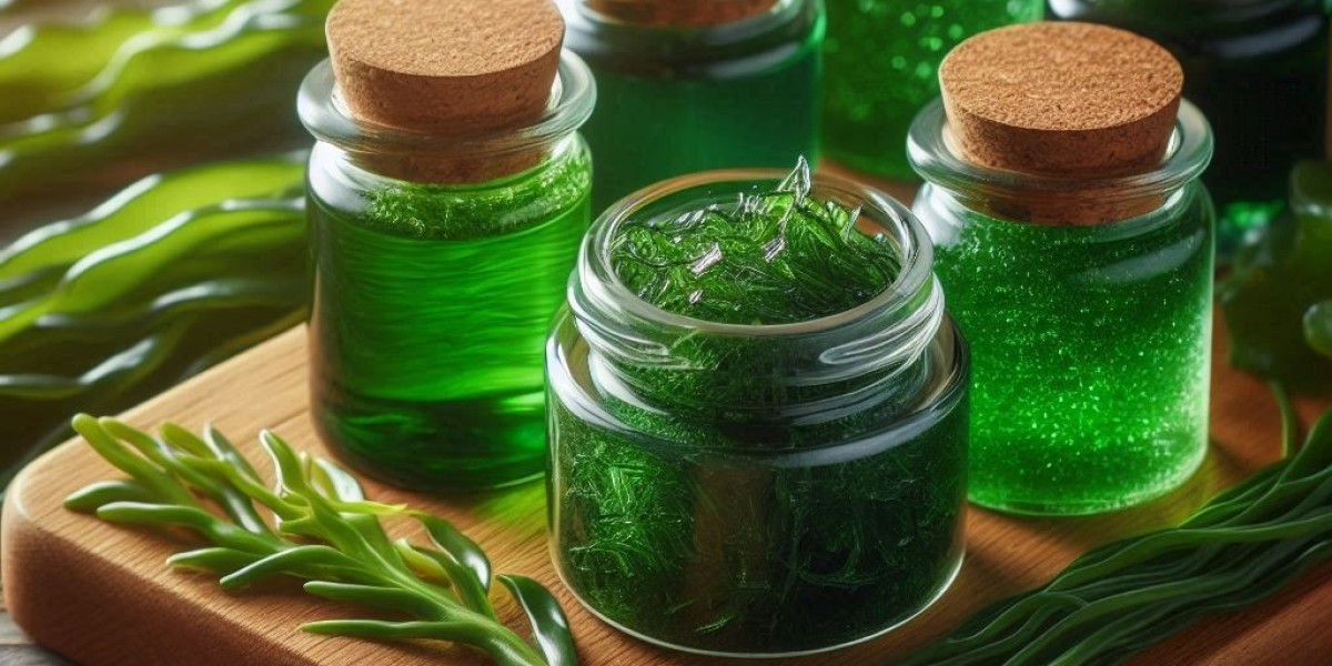 Seaweed Extracts Market: Trends, Growth, and Regional Insights