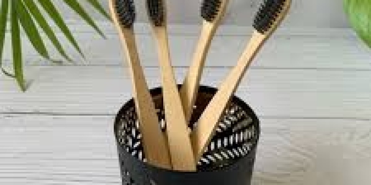 Bamboo Toothbrush Market Competitor Benchmarking Reveals Gaps in Product Variety and Pricing Models